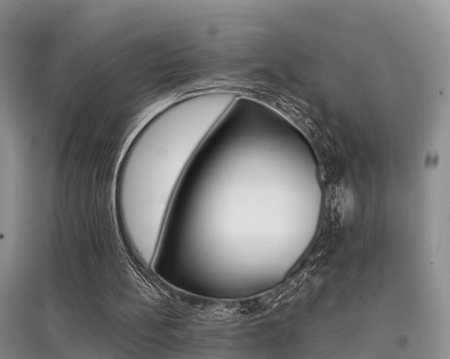 X0000097910148200803141037