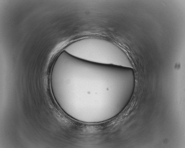 X0000097910149200803141037