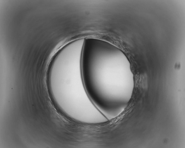 X0000097910150200803141037