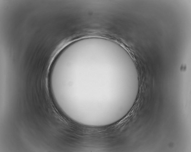 X0000097910152200803141037