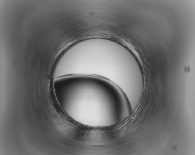 X0000097910154200803141037