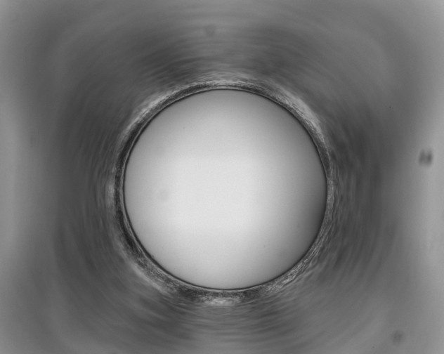 X0000097910155200803141037