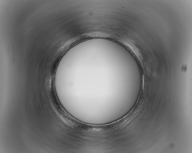 X0000097910157200803141037