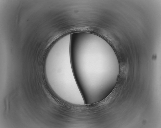 X0000097910158200803141037