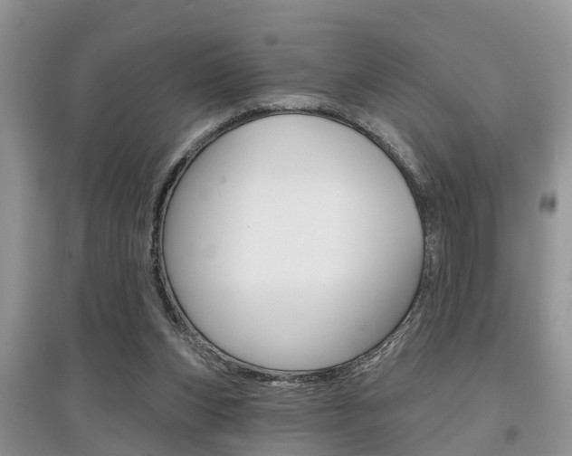 X0000097910159200803141037