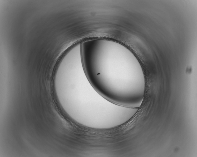 X0000097910160200803141037