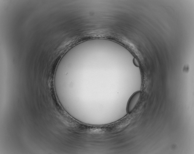 X0000097910161200803141037