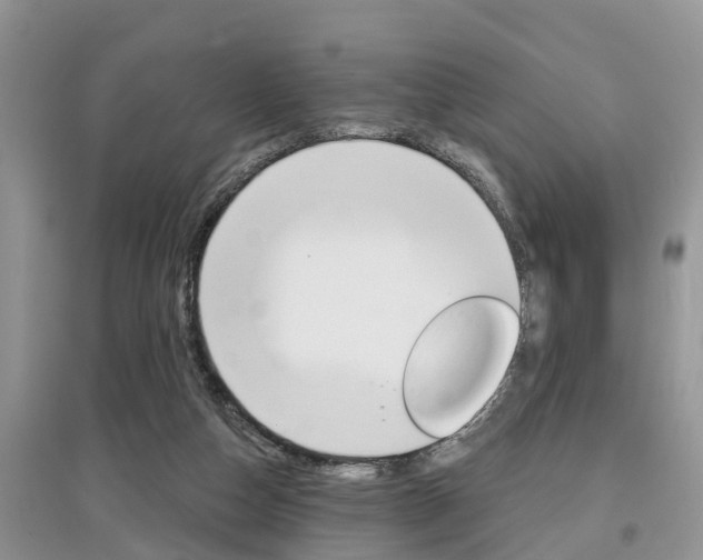 X0000097910162200803141037