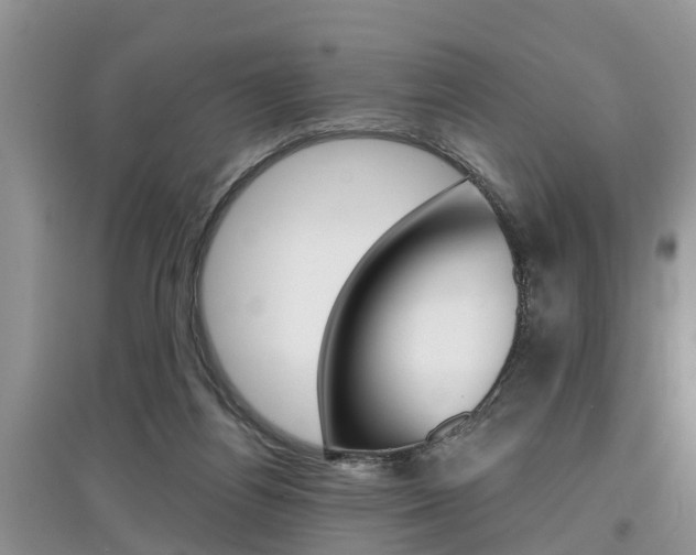 X0000097910164200803141037