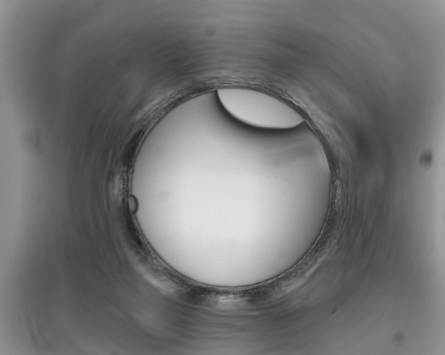 X0000097910165200803141037