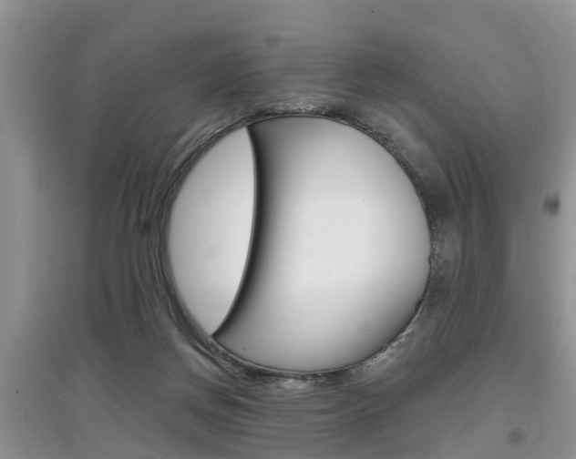 X0000097910166200803141037