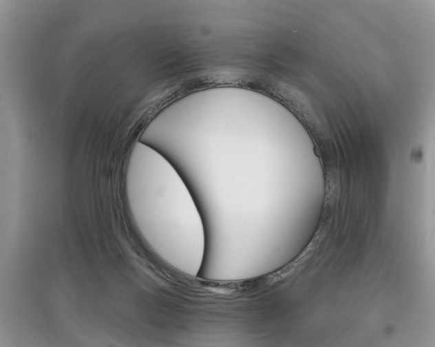 X0000097910167200803141037