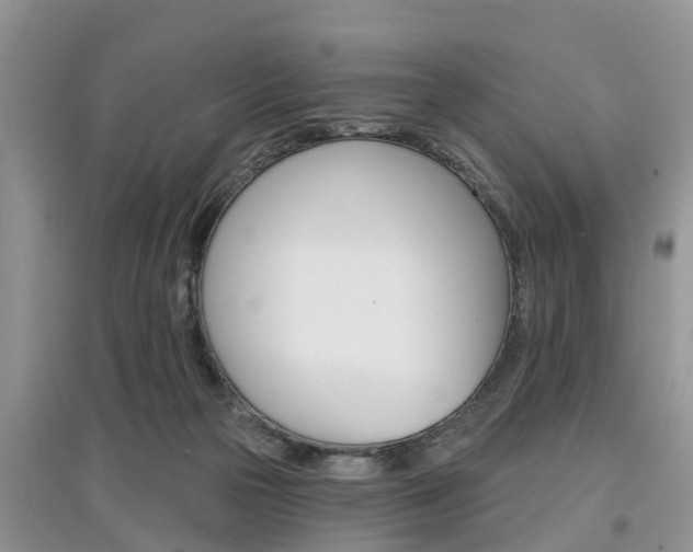 X0000097910169200803141037