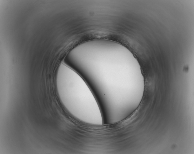 X0000097910170200803141037