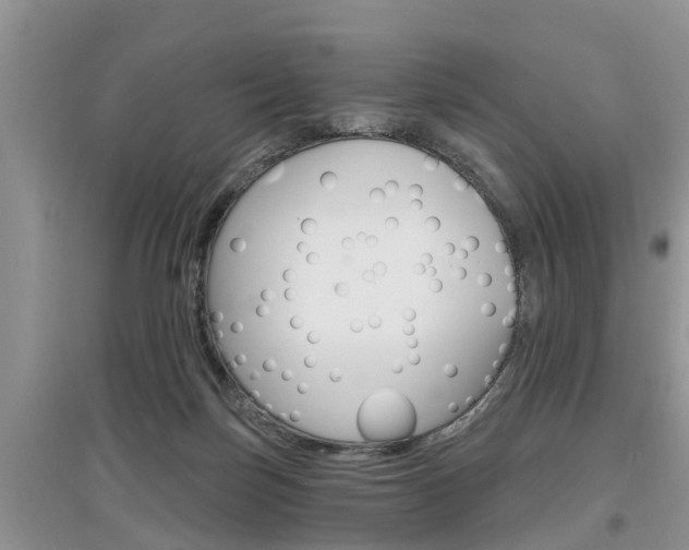 X0000097910171200803141037