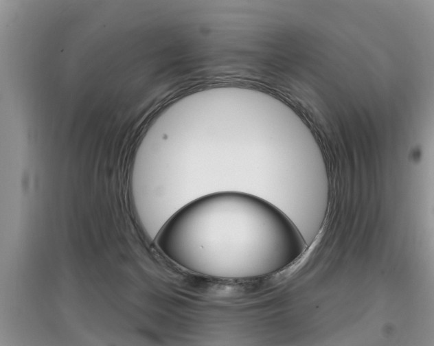 X0000097910174200803141037