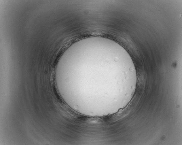 X0000097910175200803141037