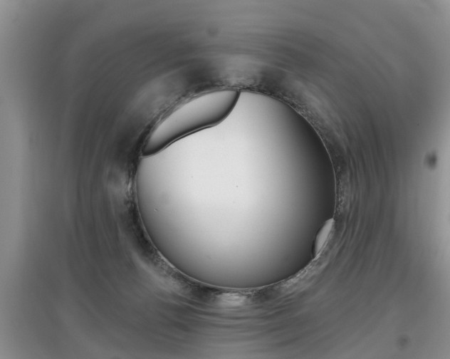 X0000097910176200803141037