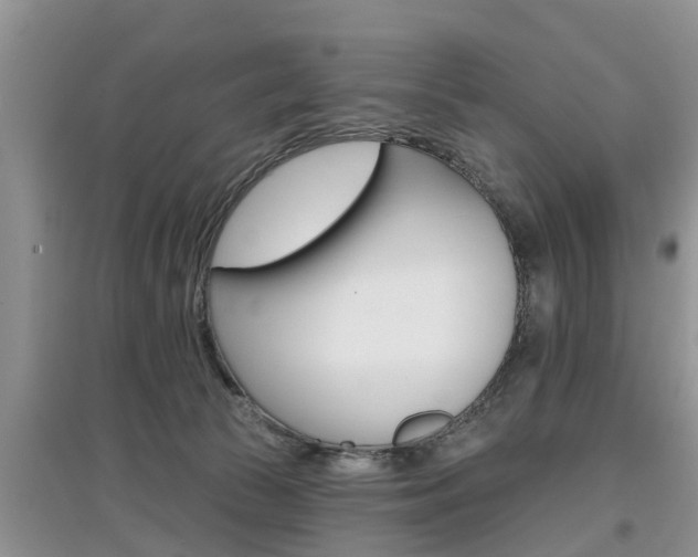 X0000097910177200803141037