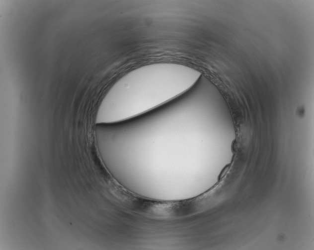 X0000097910178200803141037