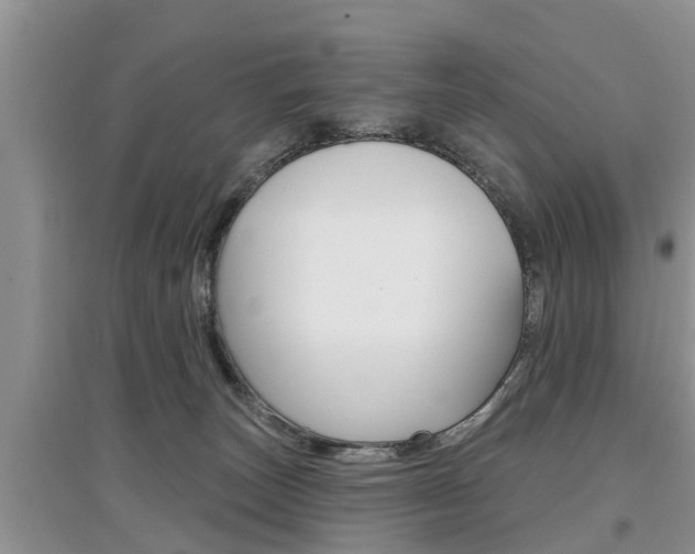 X0000097910179200803141037
