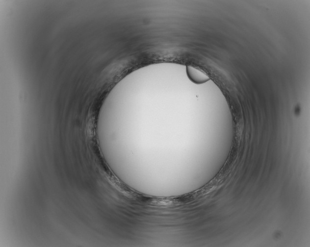 X0000097910181200803141037