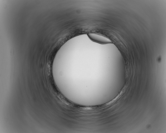 X0000097910183200803141037