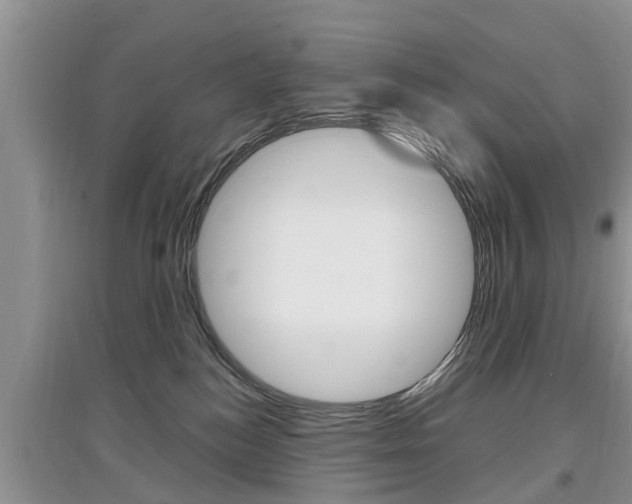 X0000097910184200803141037