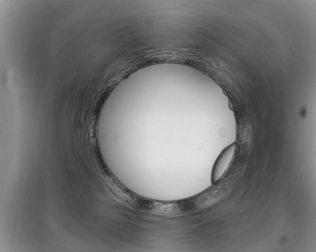 X0000097910185200803141037