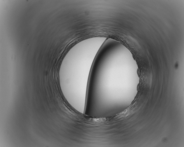 X0000097910188200803141037