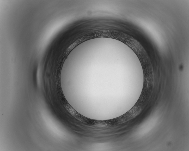 X0000097910189200803141037
