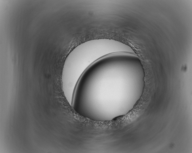 X0000097910192200803141037