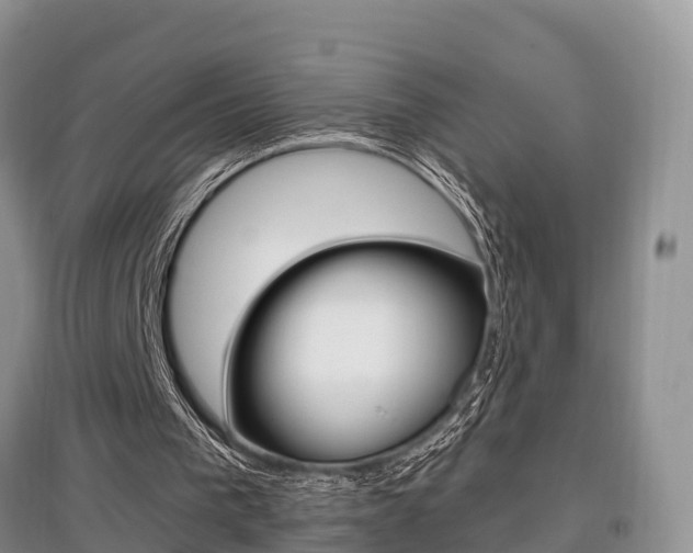 X0000097910193200803141037