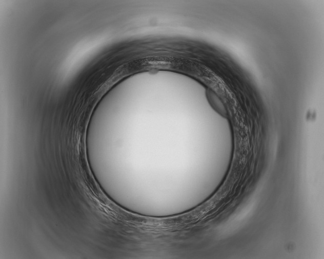 X0000097910194200803141037