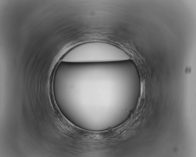 X0000097910195200803141037