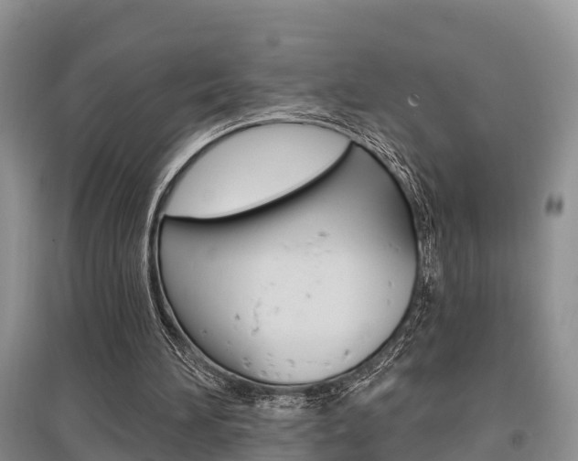 X0000097910196200803141037