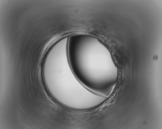 X0000097910197200803141037