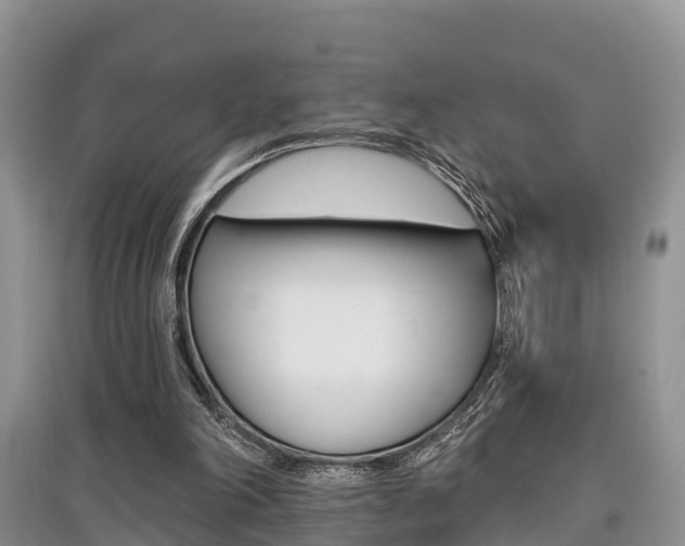 X0000097910198200803141037