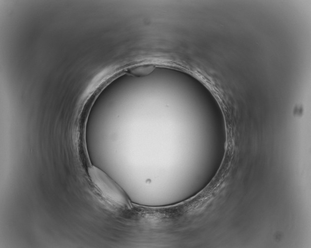 X0000097910199200803141037