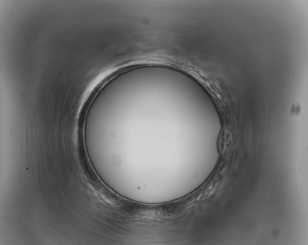 X0000097910200200803141037