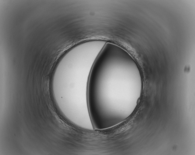 X0000097910201200803141037
