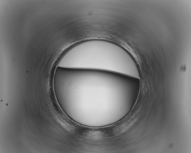 X0000097910203200803141037