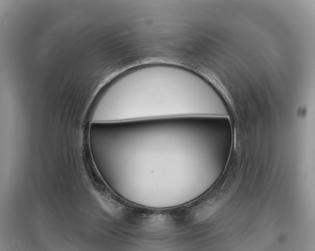 X0000097910204200803141037