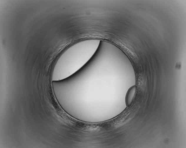 X0000097910206200803141036