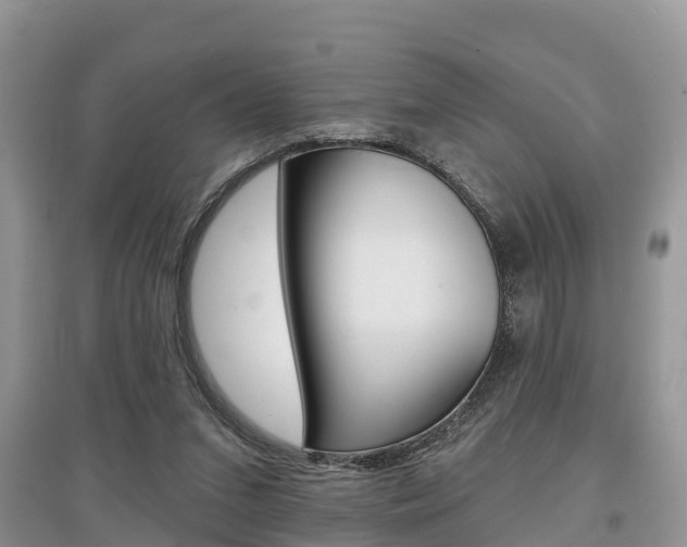 X0000097910207200803141036