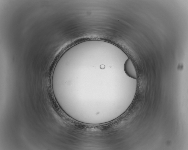 X0000097910208200803141036