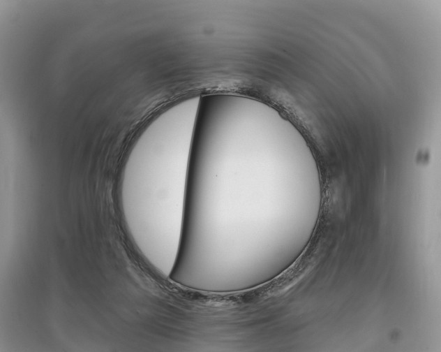 X0000097910209200803141036