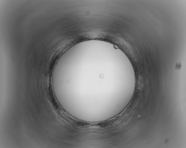 X0000097910210200803141036