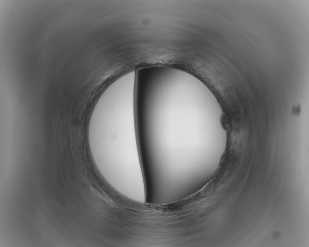 X0000097910211200803141036
