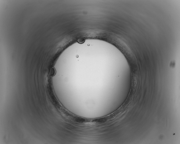 X0000097910216200803141036